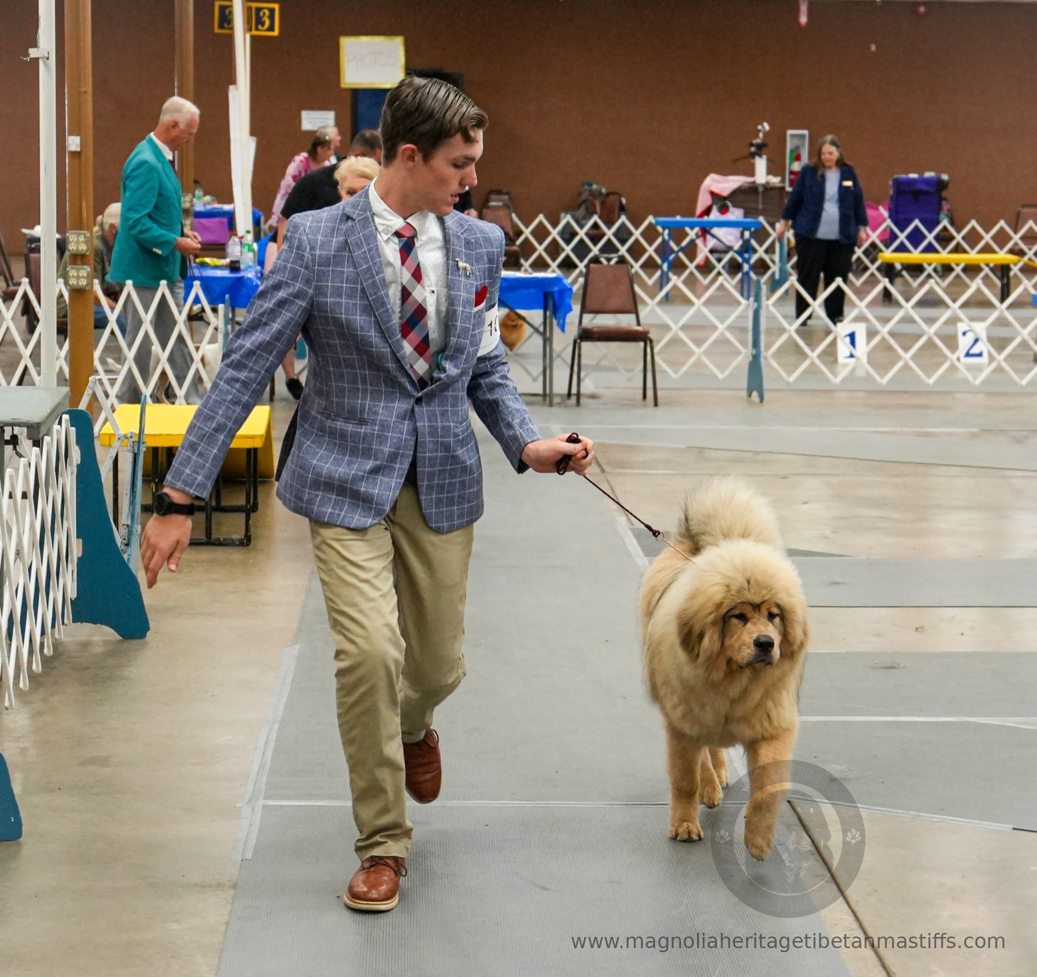 Makara in the show ring photo 1
