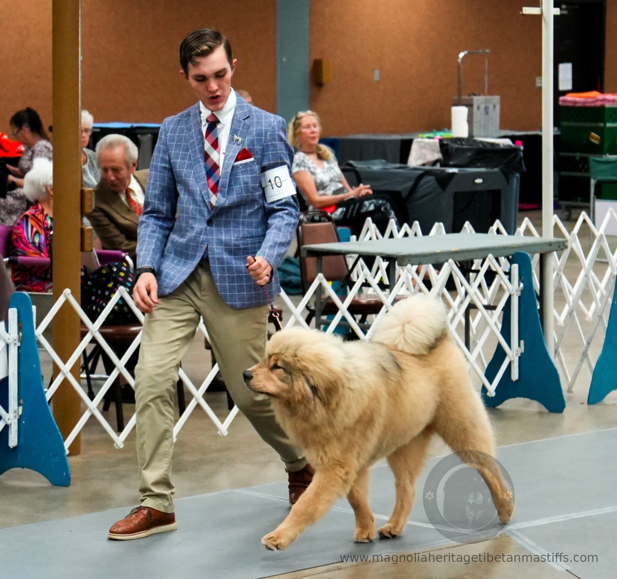 Makara in the show ring photo 12