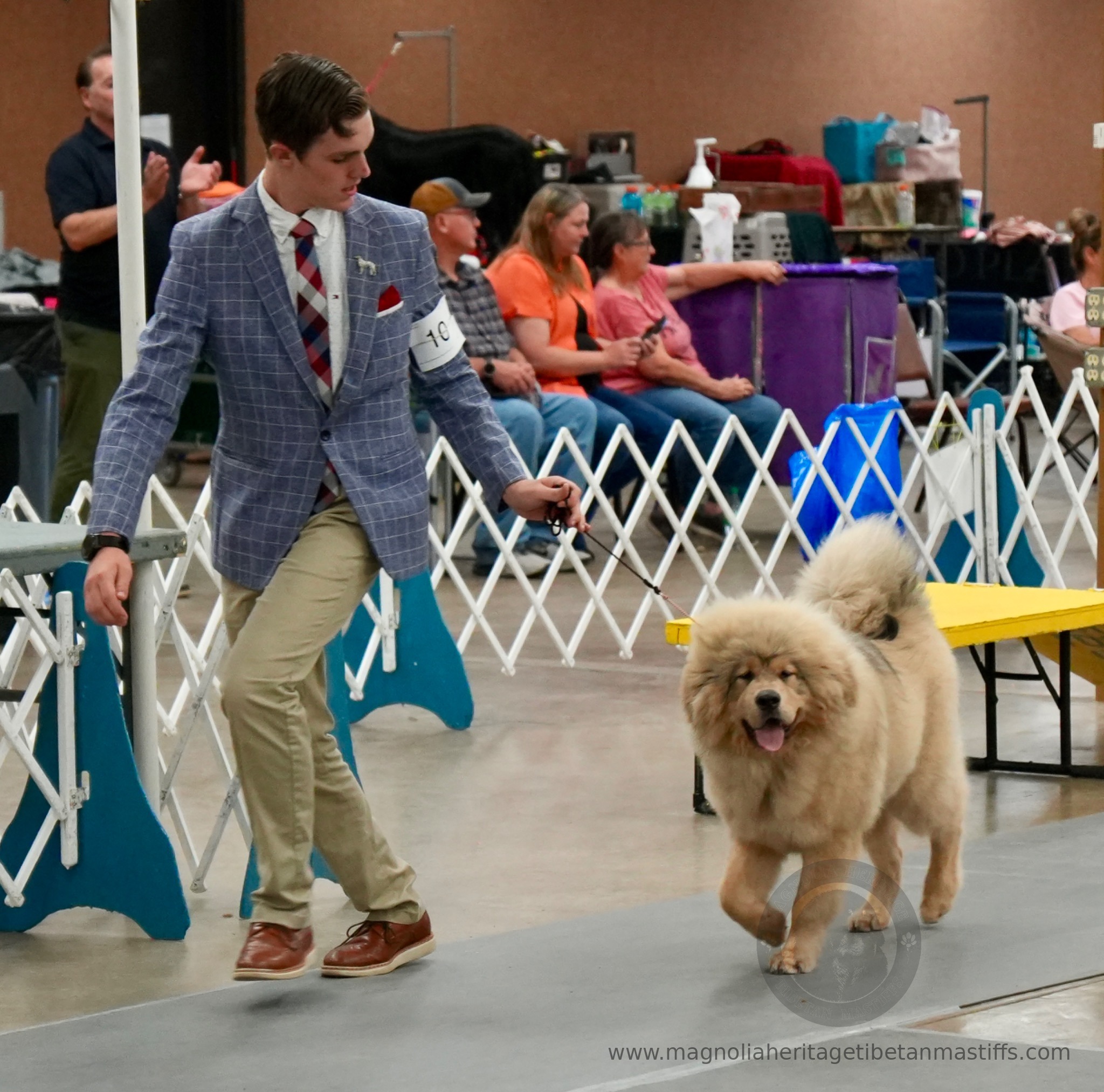Makara in the show ring photo 13