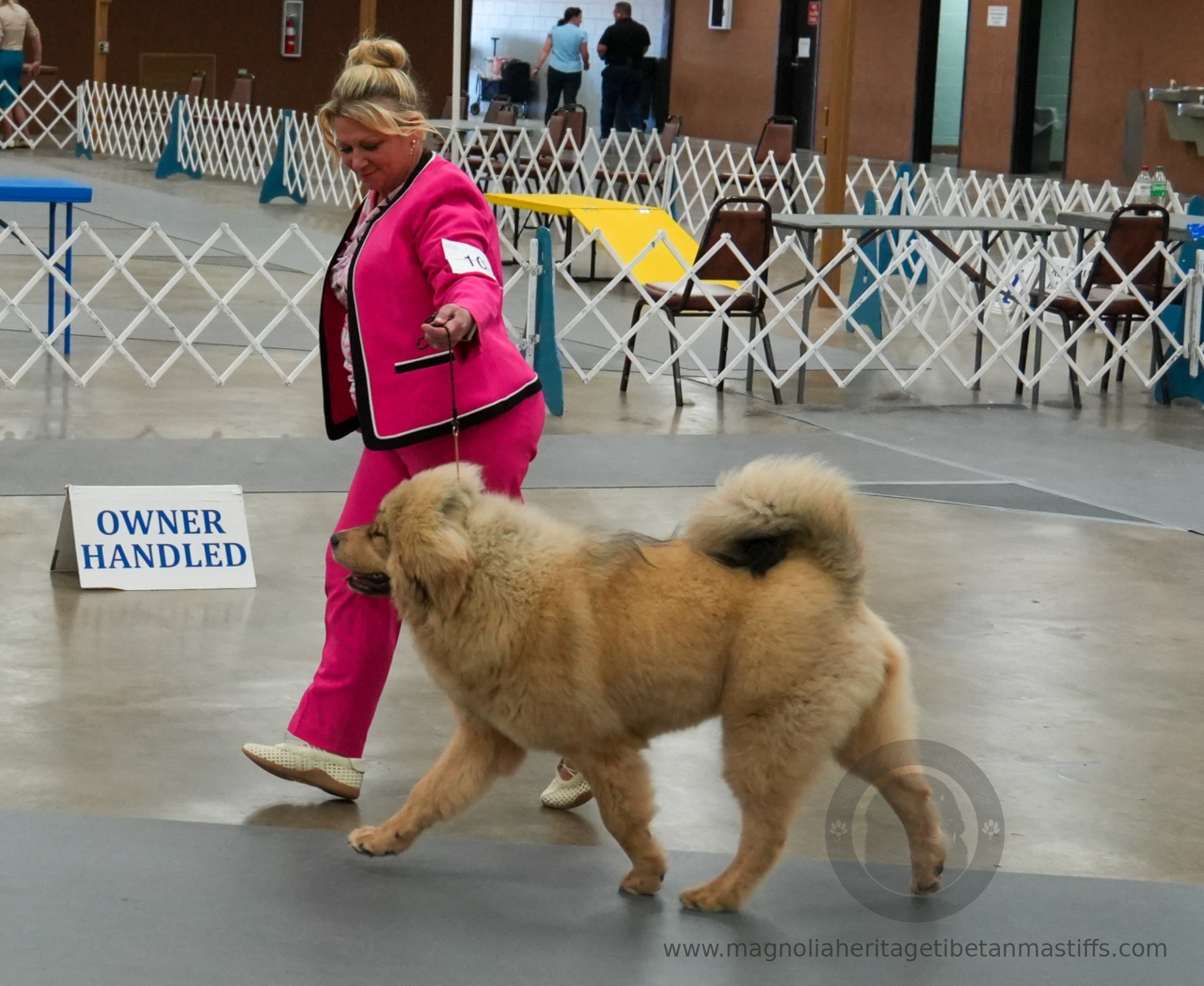 Makara in the show ring photo 16