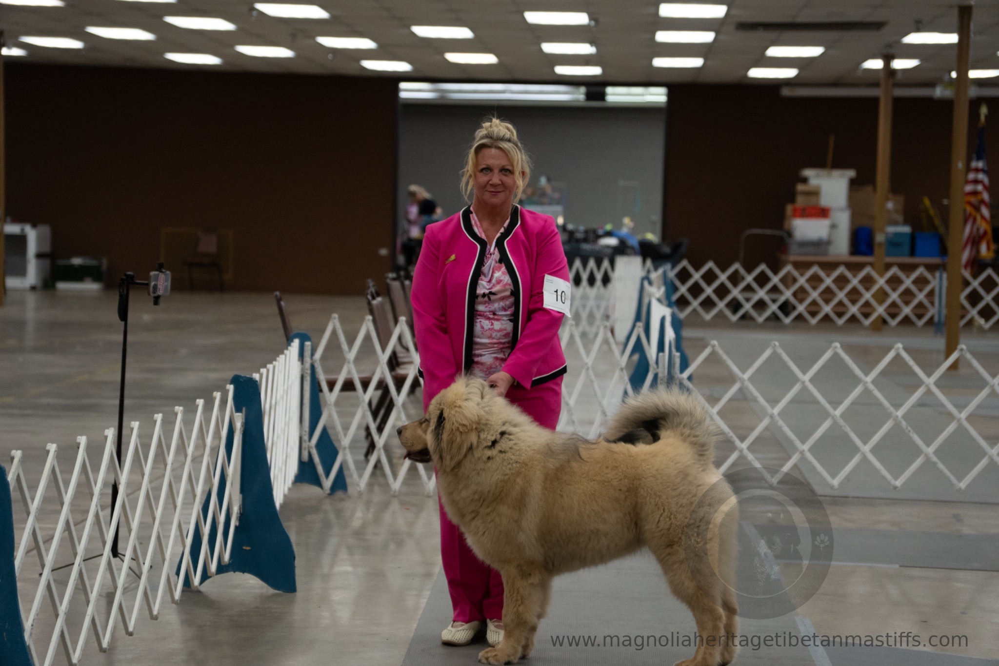 Makara in the show ring photo 17