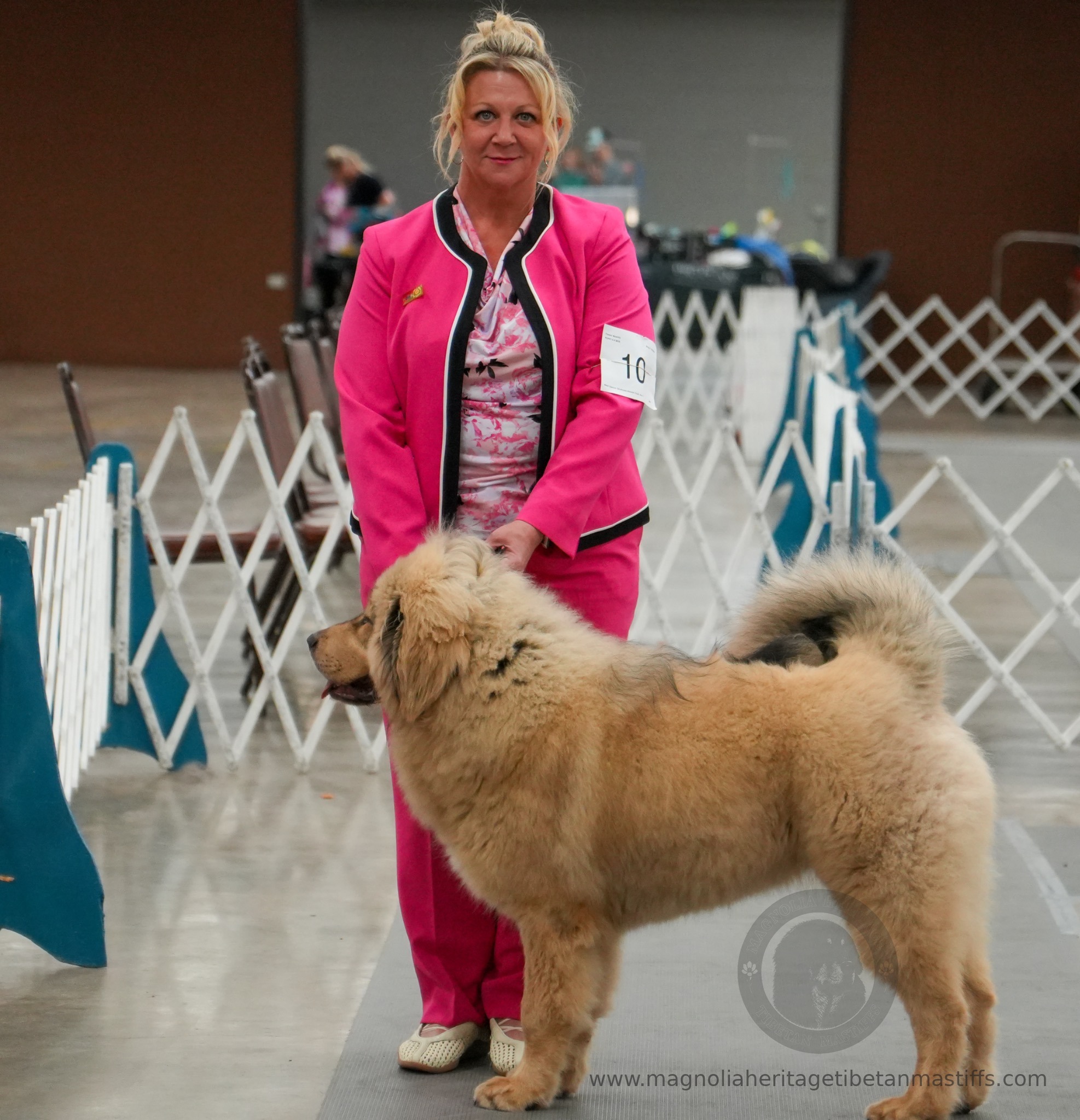 Makara in the show ring photo 18