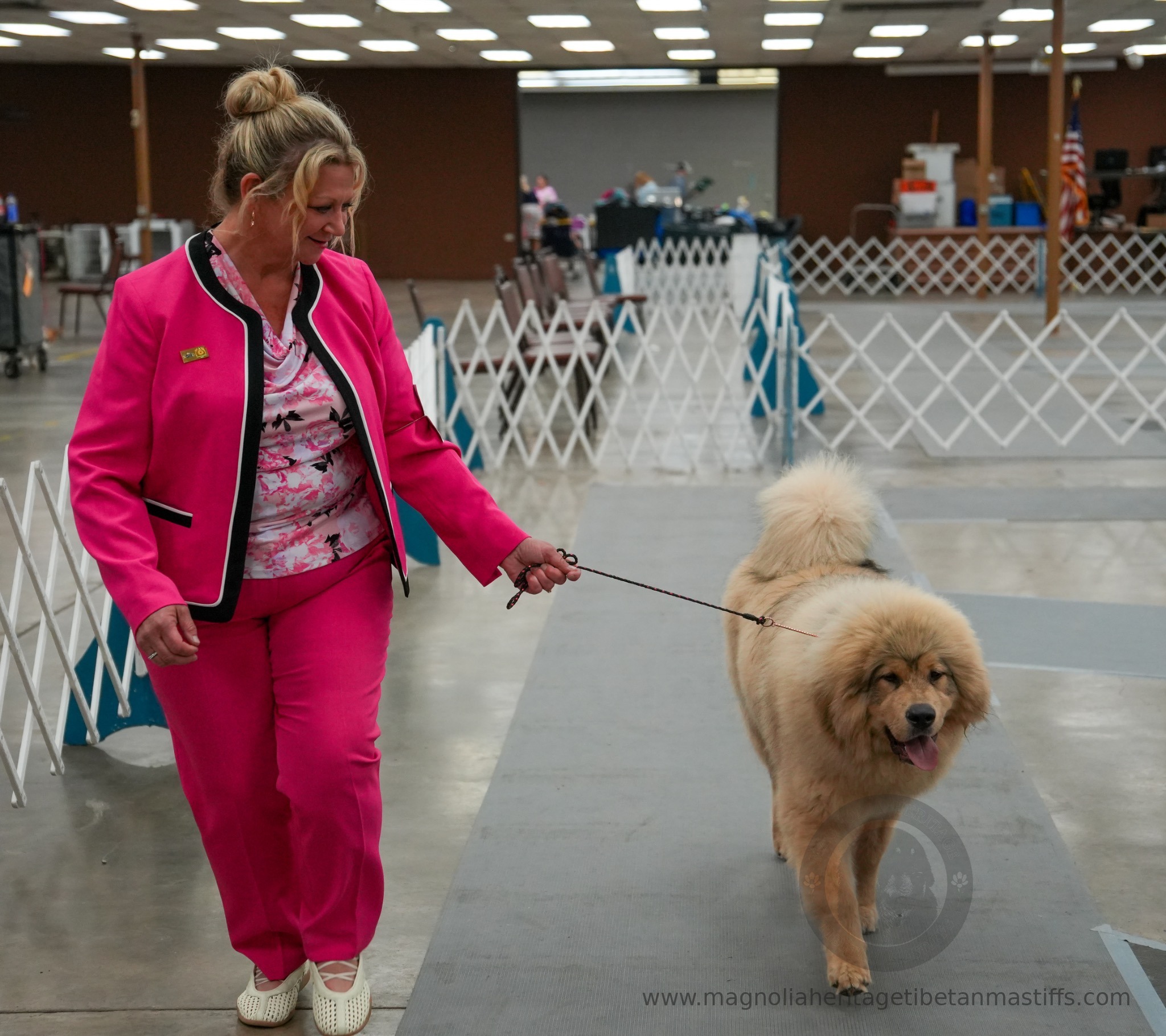 Makara in the show ring photo 19