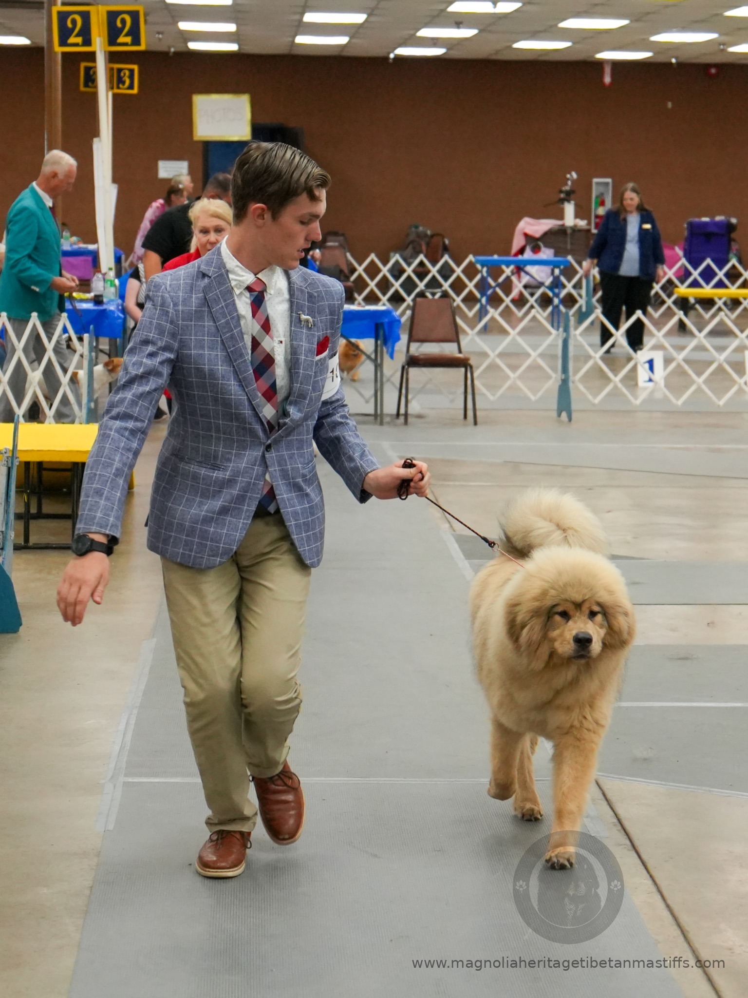 Makara in the show ring photo 2