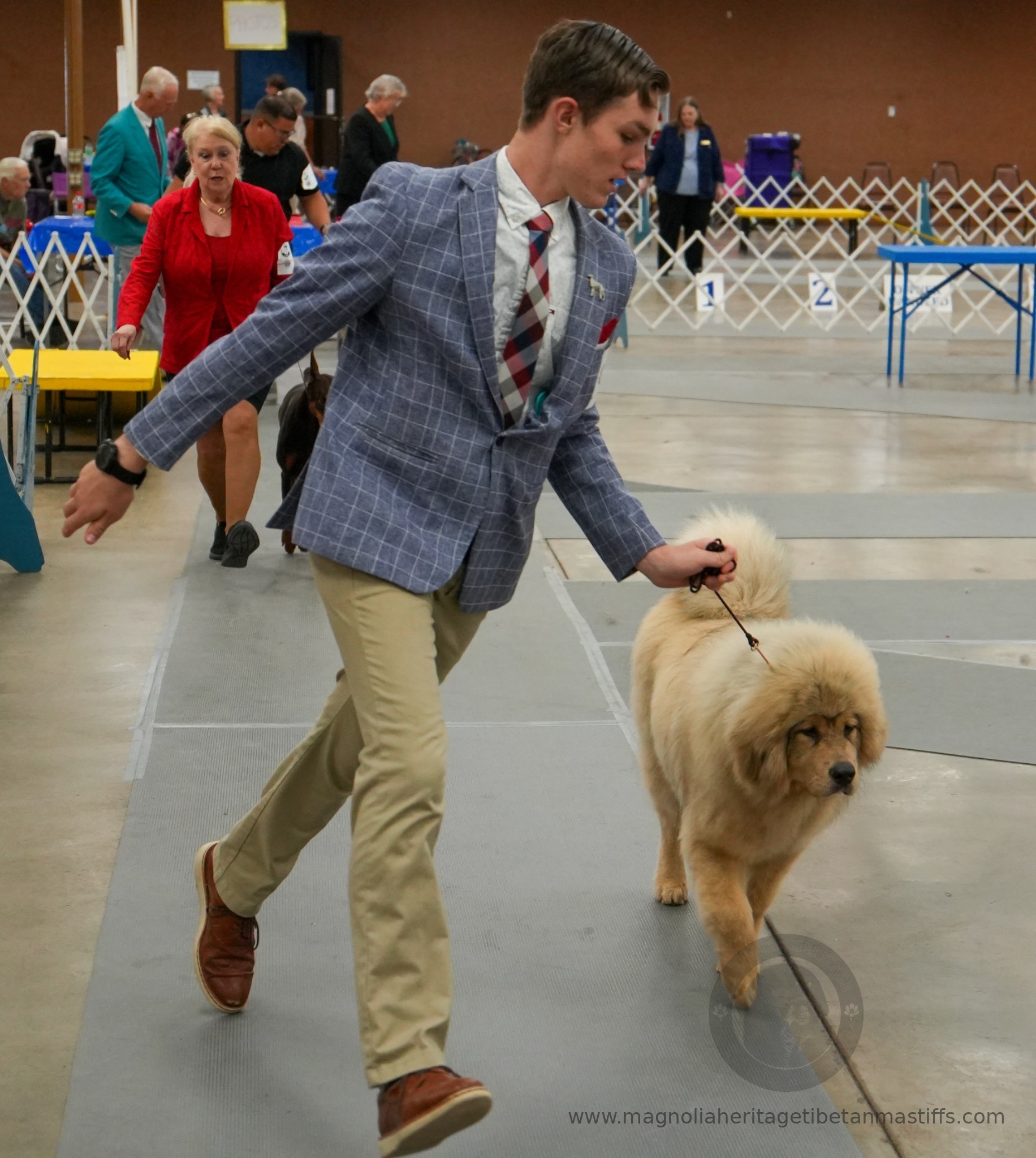 Makara in the show ring photo 4