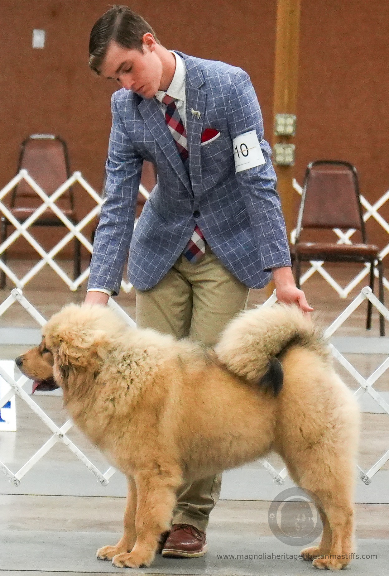 Makara in the show ring photo 5