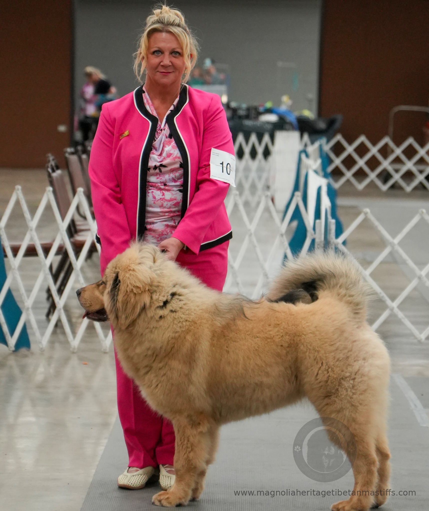 Michelle presenting Makara in the show ring for Magnolia Heritage Tibetan Mastiffs