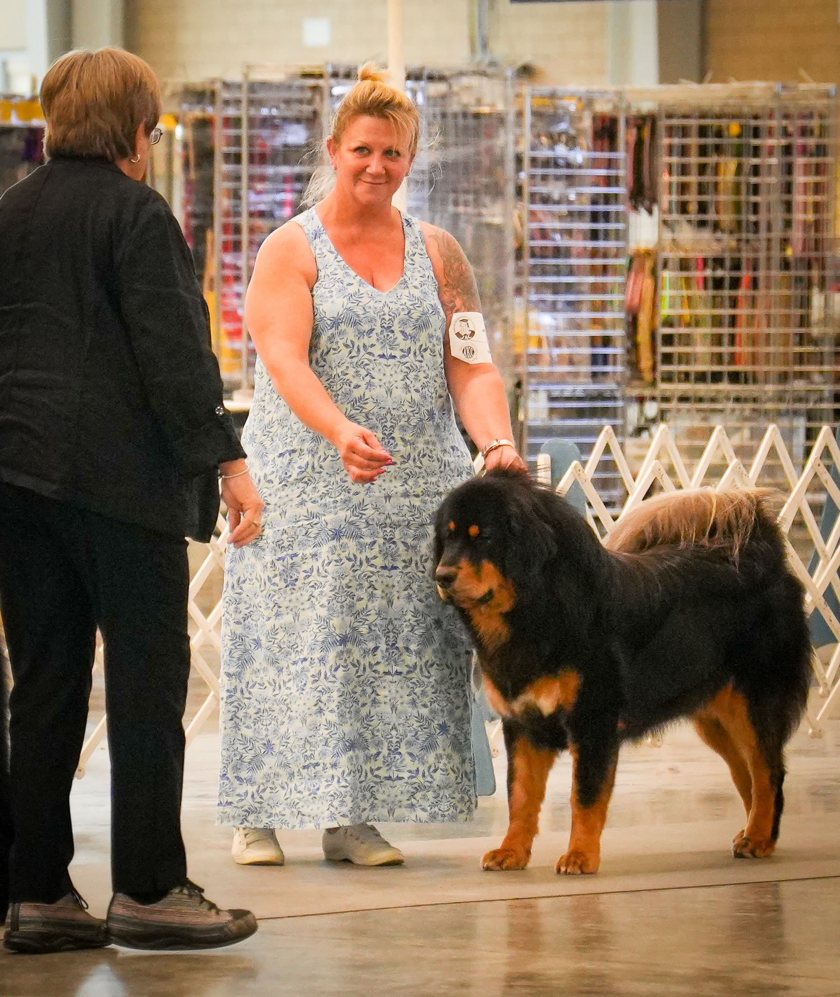 Dog show life