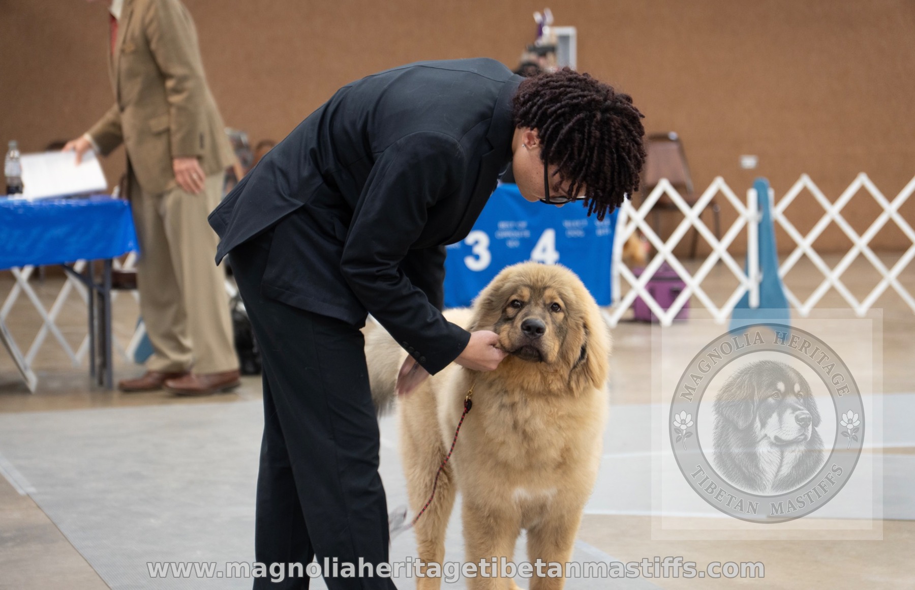 Rinchen being examined in the ring by a young handler