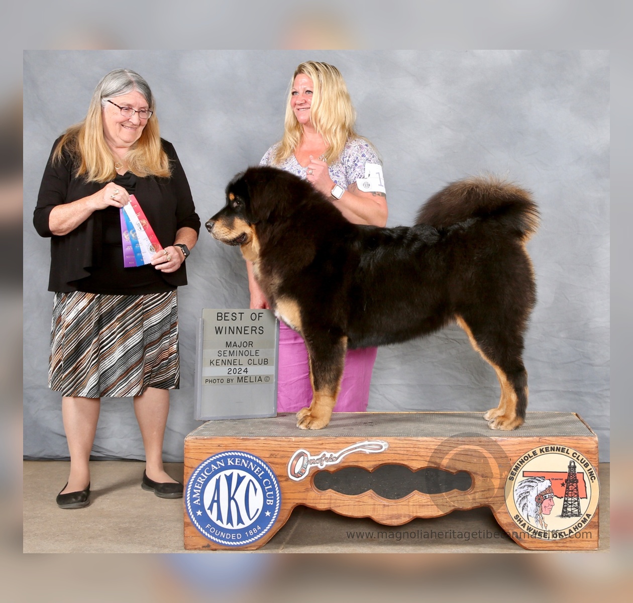 GCH CH Noble Legacy’s My Friend Zaya, foundation female of Magnolia Heritage Tibetan Mastiffs