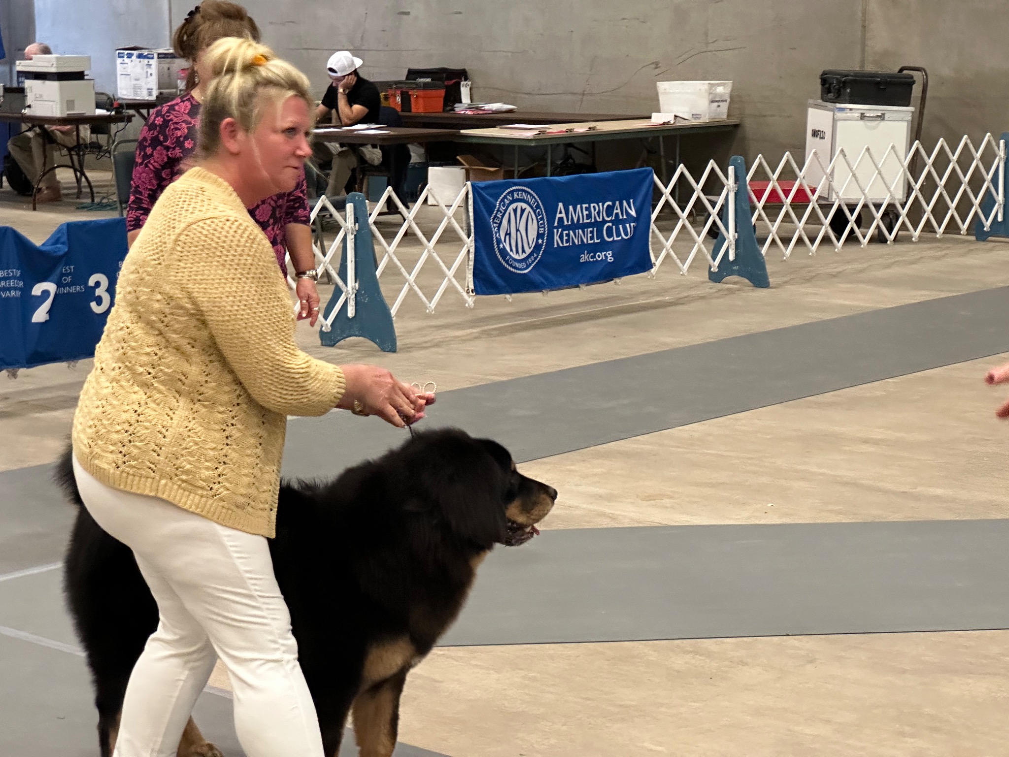 Zaya moving in the AKC ring