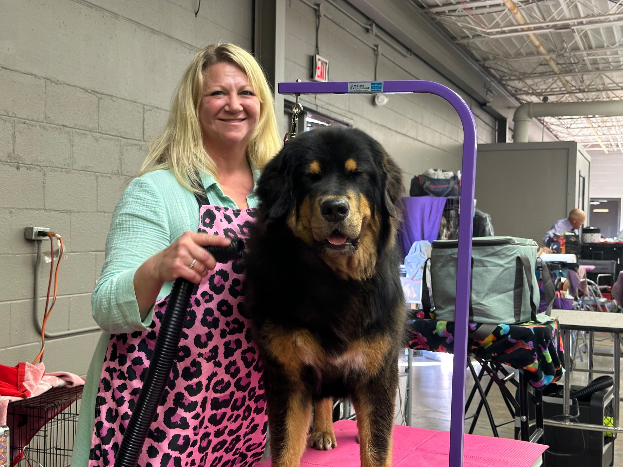 Zaya on the grooming table