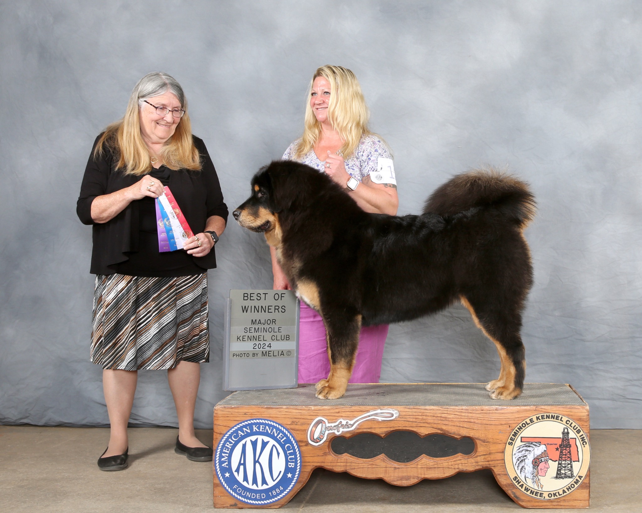 Zaya Best of Winners major photo