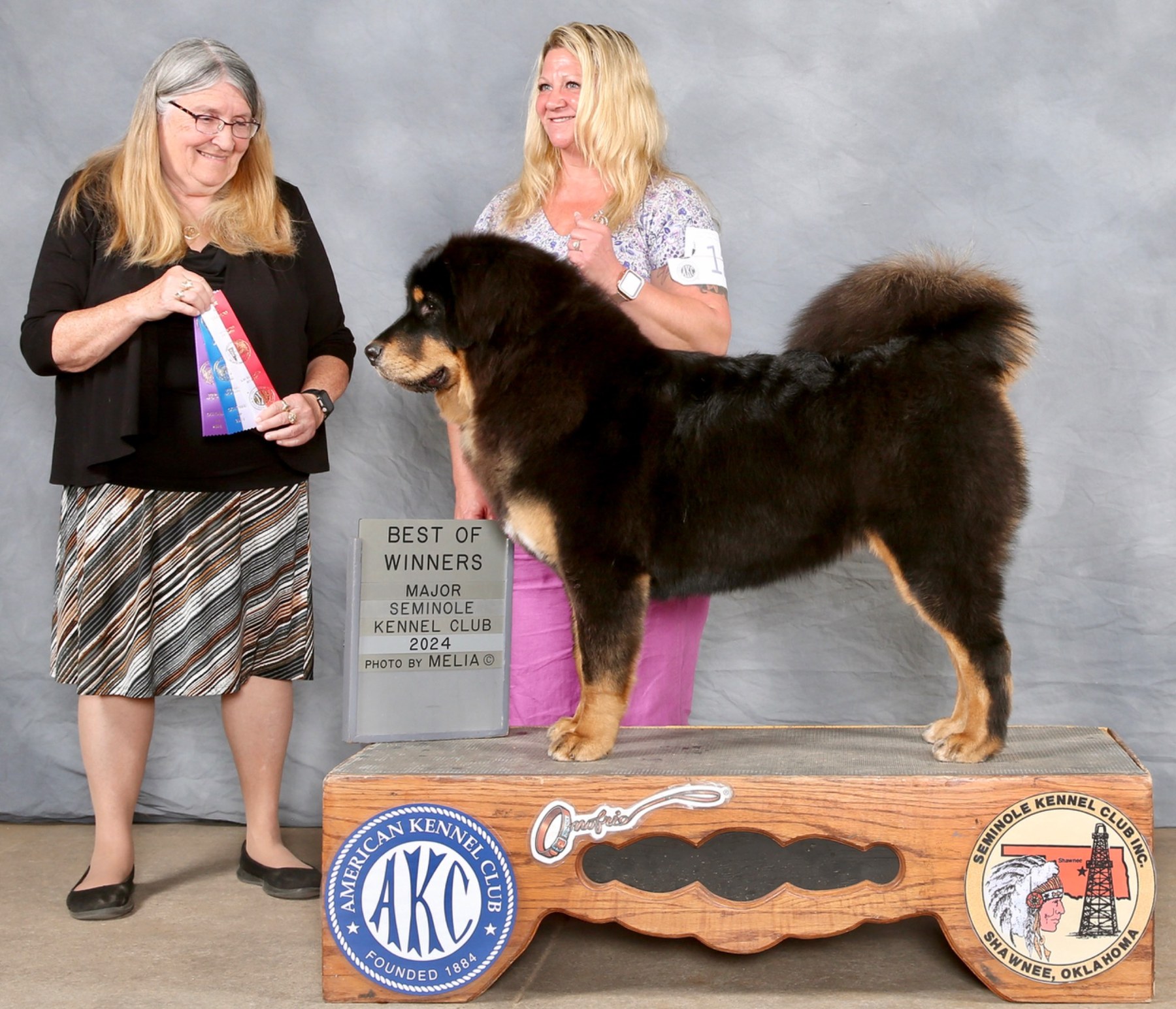 Zaya, Magnolia Heritage Tibetan Mastiffs home gallery